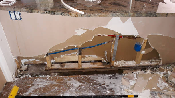 Best Professional water damage repair  in Sierra Vista, AZ