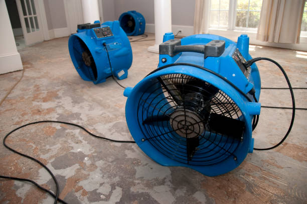 Best Emergency water damage restoration  in Sierra Vista, AZ